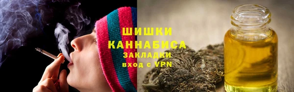 ГАЛЛЮЦИНОГЕННЫЕ ГРИБЫ Абаза