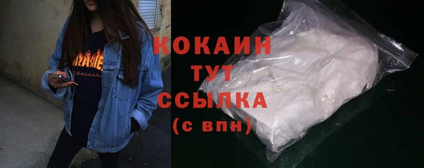 ГАЛЛЮЦИНОГЕННЫЕ ГРИБЫ Абаза