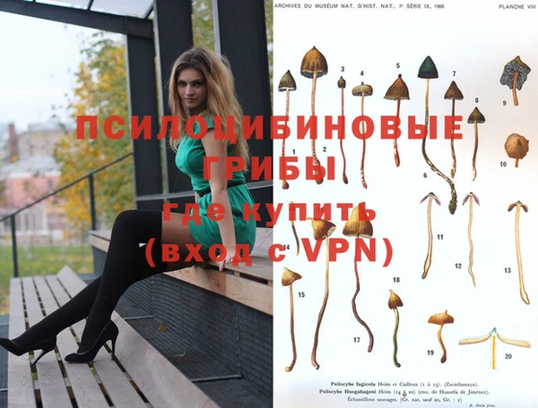 герыч Абдулино