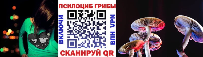 Псилоцибиновые грибы Psilocybine cubensis  даркнет какой сайт  Анапа 
